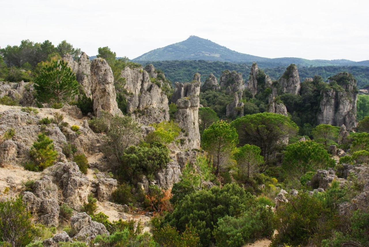 "Belle Etape"-Meuble De Tourisme 3 Etoiles -Residence "Les Logis De Beziers"-Garage Optionnel-Coeur De Ville-Plages A 16Km ! Zewnętrze zdjęcie